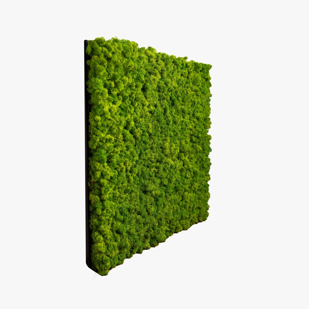 Image 2 of 3 in Moss Panel gallery