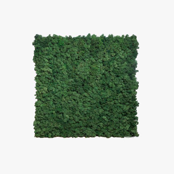 Moss Panel