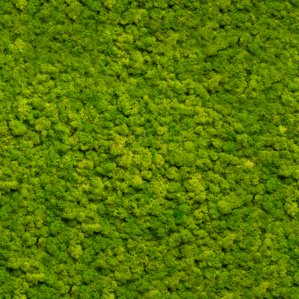 Image 2 of 2 in Apple Green | Moss panel – Sample gallery