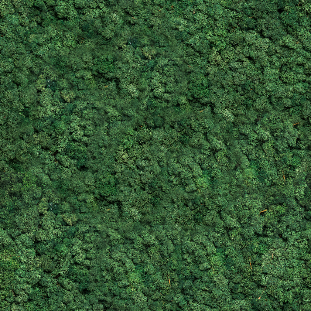 Image 2 of 2 in Moss Green | Moss panel – Sample gallery