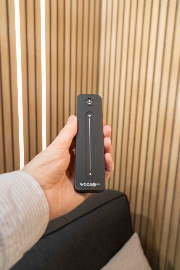 Remote for LED Striplight